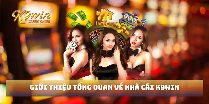 Giới thiệu tổng quan về nhà cái K9win