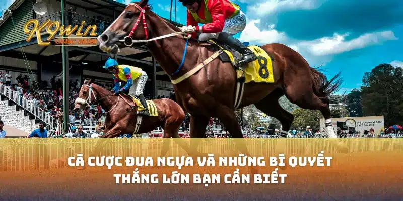 Cá cược đua ngựa và những bí quyết thắng lớn bạn cần biết 7 Cá cược đua ngựa và những bí quyết thắng lớn bạn cần biết