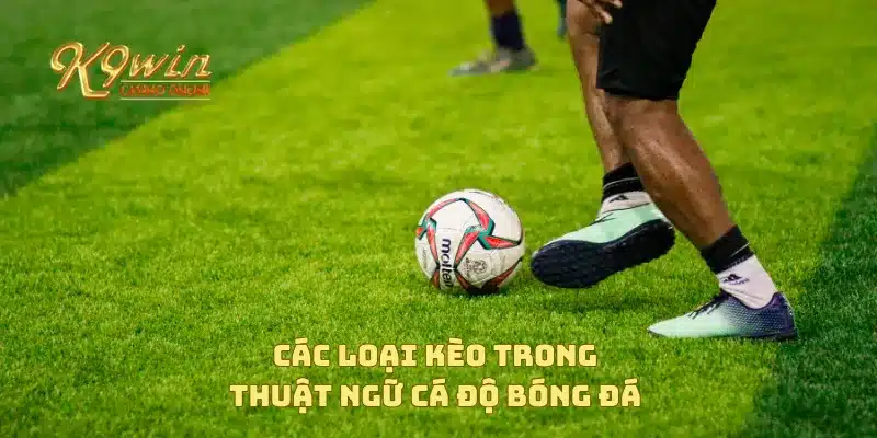 Thuật ngữ cá độ bóng đá mà bạn cần nắm vững khi tham gia 3 Các loại kèo trong thuật ngữ cá độ bóng đá