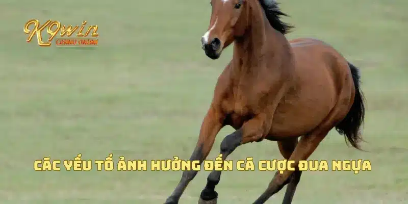Các yếu tố ảnh hưởng đến cá cược đua ngựa