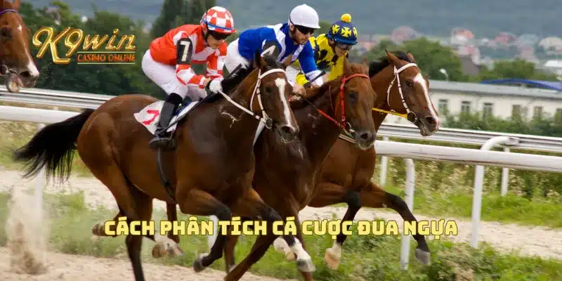 Cách phân tích cá cược đua ngựa