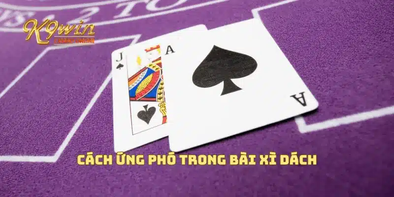 Cách ứng phó trong bài xì dách