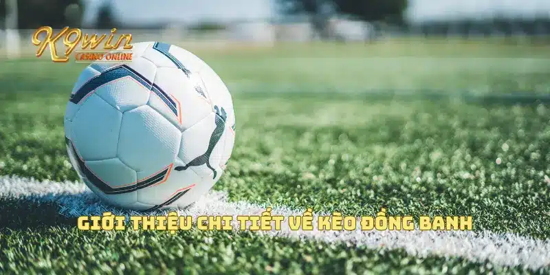 Kèo đồng banh là gì và cách phân tích kèo chuẩn xác nhất 2 Giới thiệu chi tiết về kèo đồng banh