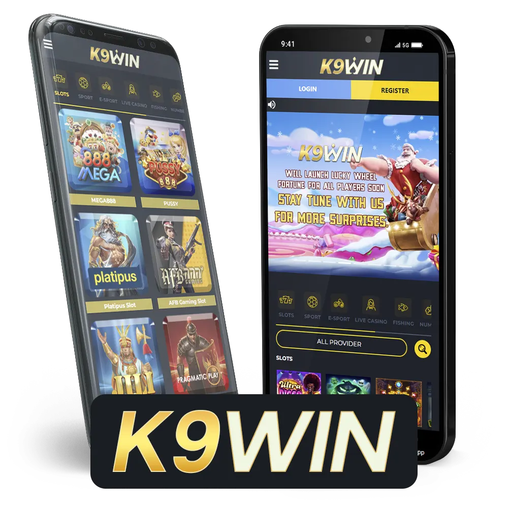 k9win app