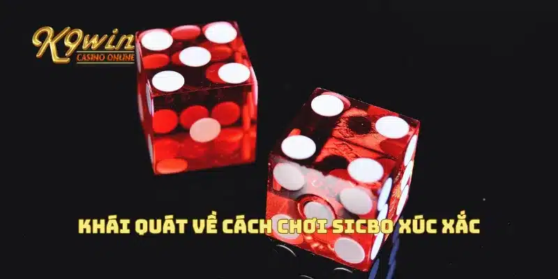 Cách chơi sicbo xúc xắc dễ thắng và các chiến thuật cần biết 2 Khái quát về cách chơi Sicbo xúc xắc
