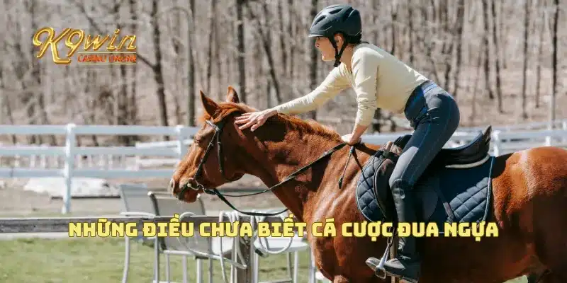 Những điều chưa biết cá cược đua ngựa