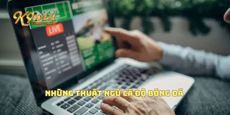 Thuật ngữ cá độ bóng đá mà bạn cần nắm vững khi tham gia 2 Những thuật ngữ cá độ bóng đá