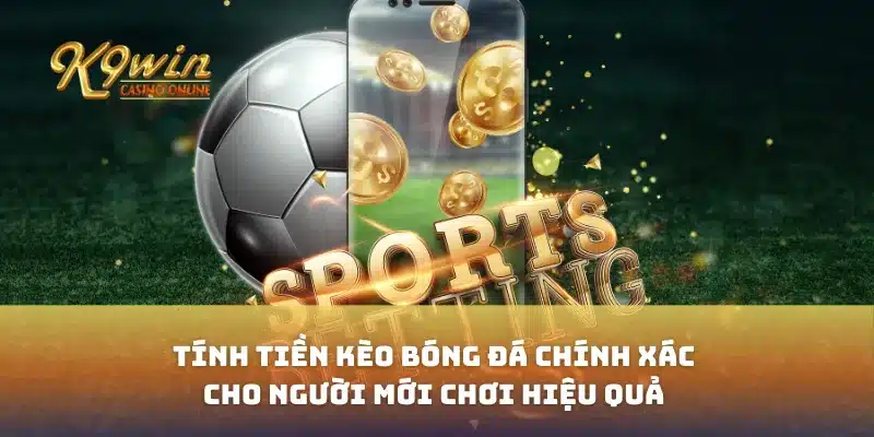 Tính Tiền Kèo Bóng Đá Chính Xác Cho Người Mới Chơi Hiệu Quả 11 Tính Tiền Kèo Bóng Đá Chính Xác Cho Người Mới Chơi Hiệu Quả
